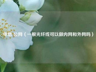 电信 公网（一根光纤线可以做内网和外网吗）