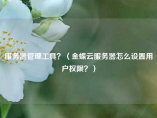 服务器管理工具？（金蝶云服务器怎么设置用户权限？）