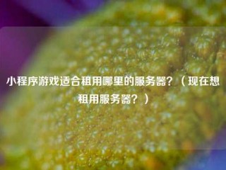 小程序游戏适合租用哪里的服务器？（现在想租用服务器？）