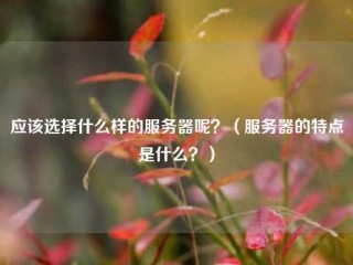 应该选择什么样的服务器呢？（服务器的特点是什么？）