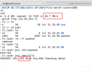 Linux可以看到ftp下载记录吗？（如何用ftp传文件,如何查看ftp上的文件）