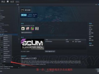 scum怎么重启服务器？（服务器重启方式）