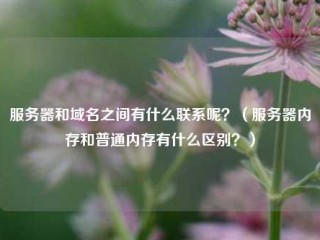 服务器和域名之间有什么联系呢？（服务器内存和普通内存有什么区别？）