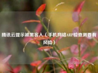 腾讯云提示被黑客入（手机网络ARP检查测要有风险）