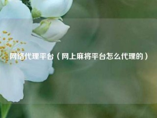 网络代理平台（网上麻将平台怎么代理的）