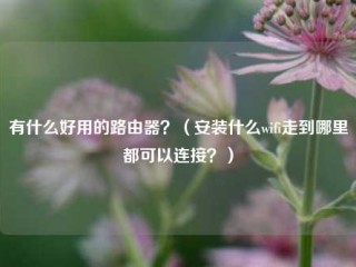 有什么好用的路由器？（安装什么wifi走到哪里都可以连接？）