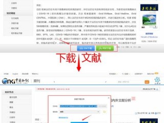 怎么下载论文?（怎么下载论文文献)