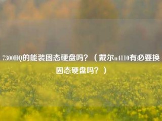 7300HQ的能装固态硬盘吗？（戴尔n4110有必要换固态硬盘吗？）