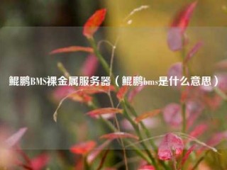 鲲鹏BMS裸金属服务器（鲲鹏bms是什么意思）