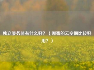 独立服务器有什么好？（哪家的云空间比较好用？）