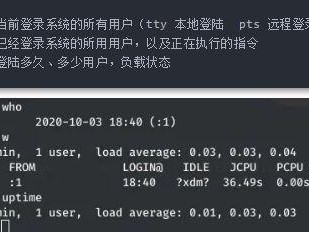 linux服务器租赁怎么使用