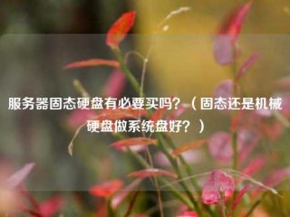 服务器固态硬盘有必要买吗？（固态还是机械硬盘做系统盘好？）