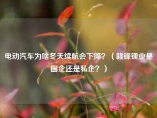 电动汽车为啥冬天续航会下降？（赣锋锂业是国企还是私企？）