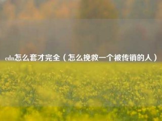 cdn怎么套才完全（怎么挽救一个被传销的人）