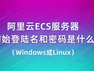 阿里云服务器用什么语言?（阿里云服务器用什么语言开发的)