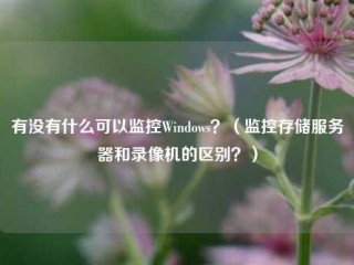 有没有什么可以监控Windows？（监控存储服务器和录像机的区别？）