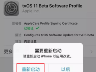 更新ios17为什么显示网址无效？（域名不正常）