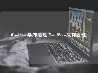 WordPress版本管理(WordPress文件管理)