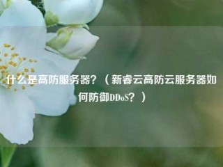 什么是高防服务器？（新睿云高防云服务器如何防御DDoS？）