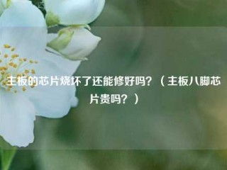 主板的芯片烧坏了还能修好吗？（主板八脚芯片贵吗？）