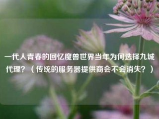 一代人青春的回忆魔兽世界当年为何选择九城代理？(传统的服务器提供商会不会消失？)