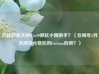 怎样彻底关闭Win10微软小娜助手？（在明年1月关闭部分地区的Cortana应用？）