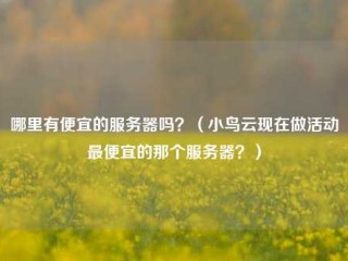 哪里有便宜的服务器吗？（小鸟云现在做活动最便宜的那个服务器？）