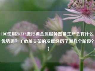 IDC使用ZKEYS进行裸金属服务器自生产会有什么优势呢？（心脏支架的发展经历了哪几个阶段？）