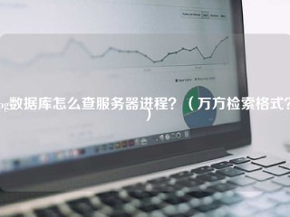 pg数据库怎么查服务器进程？（万方检索格式？）