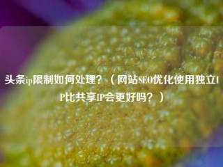 头条ip限制如何处理？（网站SEO优化使用独立IP比共享IP会更好吗？）