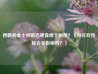 西数和金士顿固态硬盘哪个耐用？（分区后性能会受影响吗？）