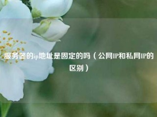 服务器的ip地址是固定的吗（公网IP和私网IP的区别）