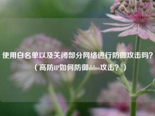 使用白名单以及关闭部分网络进行防御攻击吗？（高防IP如何防御ddos攻击？）