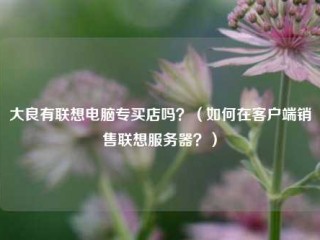 大良有联想电脑专买店吗？（如何在客户端销售联想服务器？）