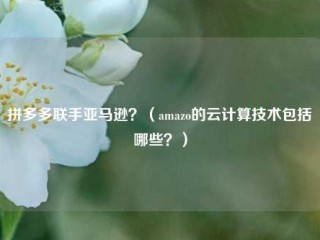 拼多多联手亚马逊？（amazo的云计算技术包括哪些？）