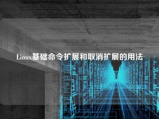 Linux基础命令扩展和取消扩展的用法