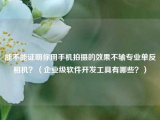 能不能证明你用手机拍摄的效果不输专业单反相机？（企业级软件开发工具有哪些？）