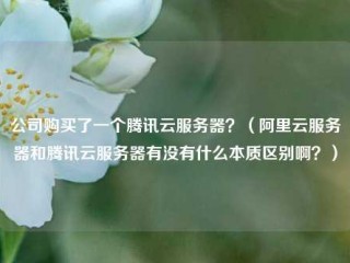 公司购买了一个腾讯云服务器？（阿里云服务器和腾讯云服务器有没有什么本质区别啊？）