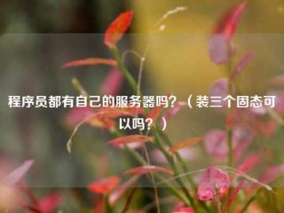 程序员都有自己的服务器吗？（装三个固态可以吗？）