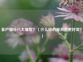 客户细分八大维度？（什么样的服务器更好卖？）