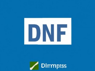 DNF内存占用过高？这些方法帮你轻松应对