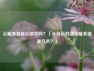 云服务器能玩游戏吗？（小鸟云的活动服务器是几折？）