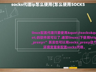 socks代理ip怎么使用(怎么使用SOCKS5代理？)