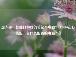 想入手一款能打游戏的笔记本电脑？（5000左右能配一台什么配置的电脑？）