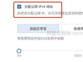 阿里云服务器怎么看ip？（阿里云服务器地址是什么意思）