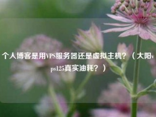 个人博客是用VPS服务器还是虚拟主机？（大阳vps125真实油耗？）