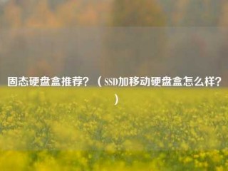 固态硬盘盒推荐？（SSD加移动硬盘盒怎么样？）