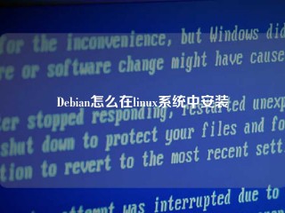 Debian怎么在linux系统中安装