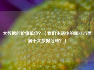 大数据的价值单位？（我们生活中的哪些方面属于大数据范畴？）