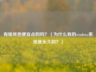 有啥其他便宜点的吗？（为什么有的windows系统是永久的？）